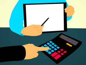 青少年篮球人才培养机制不断创新推动多元化发展，青少年篮球技术训练内容与要素分析