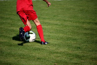 俱乐部引入智能出场管理系统 提高训练组织效率，俱乐部场地